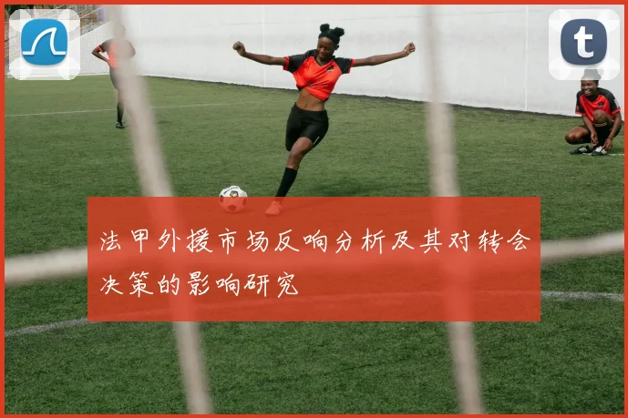 法甲外援市场反响分析及其对转会决策的影响研究