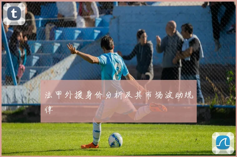 法甲外援身价分析及其市场波动规律