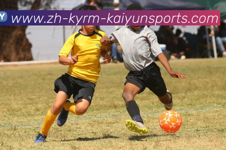 ky开云平台生态图