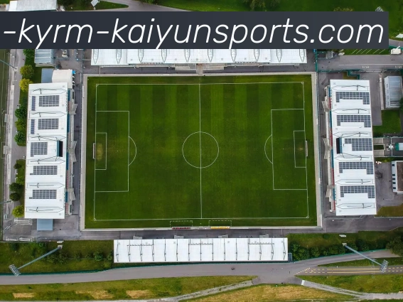 ky开云APP 封面图